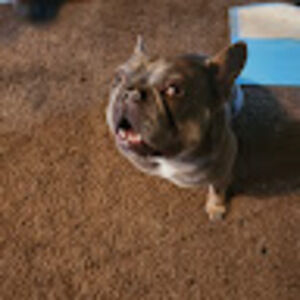 Meet your Posher, Abraham